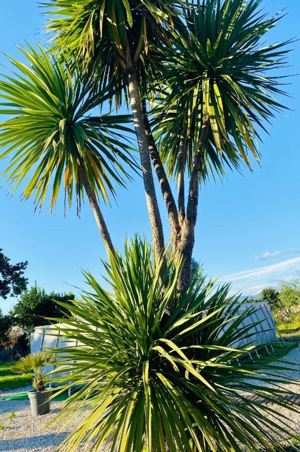 Bed and Breakfast Quinta De Areias Crespos Exterior foto